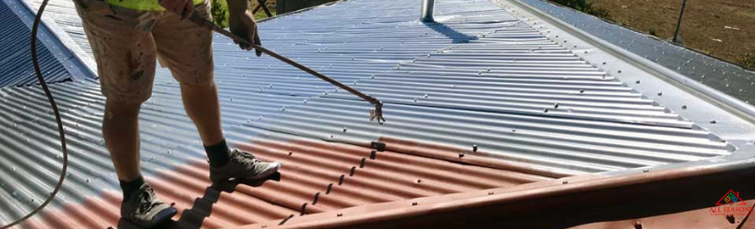 Roof Painting Services in Loveland